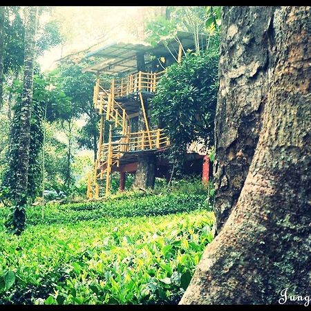 Bed and Breakfast Jungle Jive Tree House Муннар Экстерьер фото
