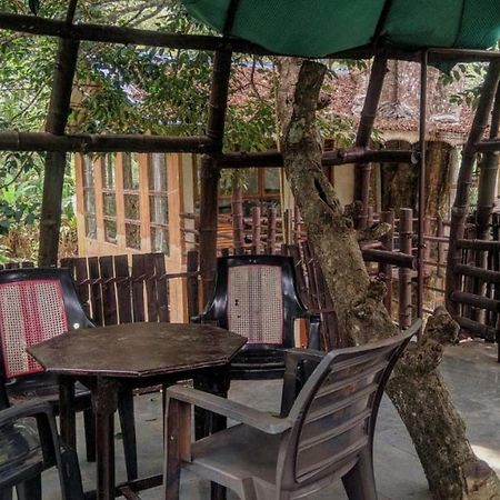Bed and Breakfast Jungle Jive Tree House Муннар Экстерьер фото
