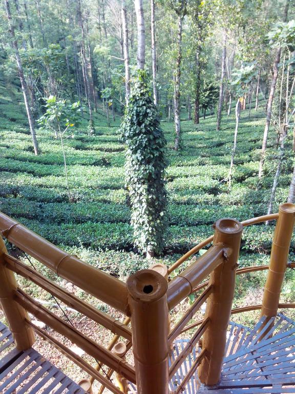 Bed and Breakfast Jungle Jive Tree House Муннар Номер фото
